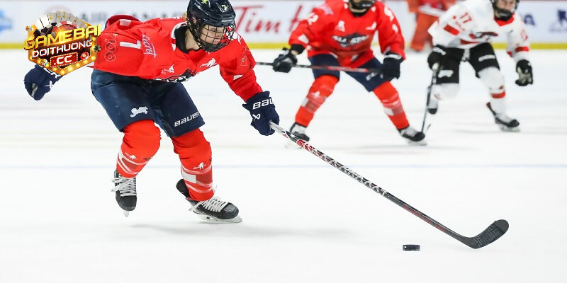 Kèo hockey chẵn lẻ được nhiều game thủ chọn lựa để tham gia